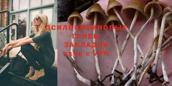 ПСИЛОЦИБИНОВЫЕ ГРИБЫ Алексин